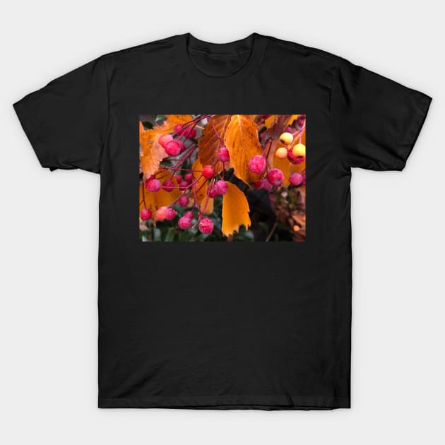 Fall Berries for a Bountiful Autumn of Abundance T-Shirt by Photomersion